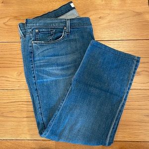 James Jeans 20W in faded worn blue.  Classic, flattering and nice styling